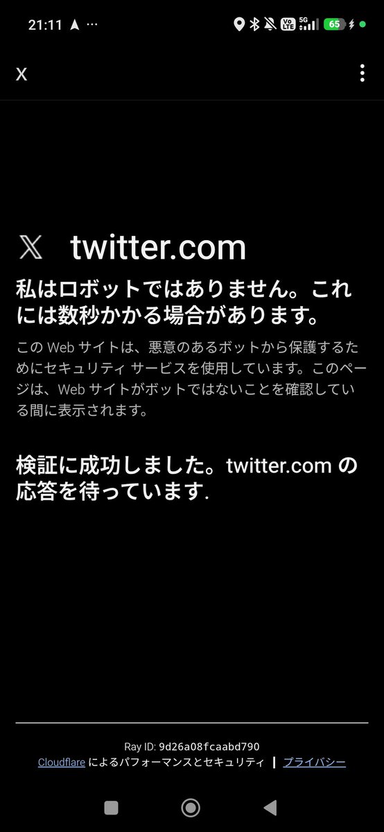 まあどうせ毎週日曜日にアカウントロックしてくるようなクソAIのやる