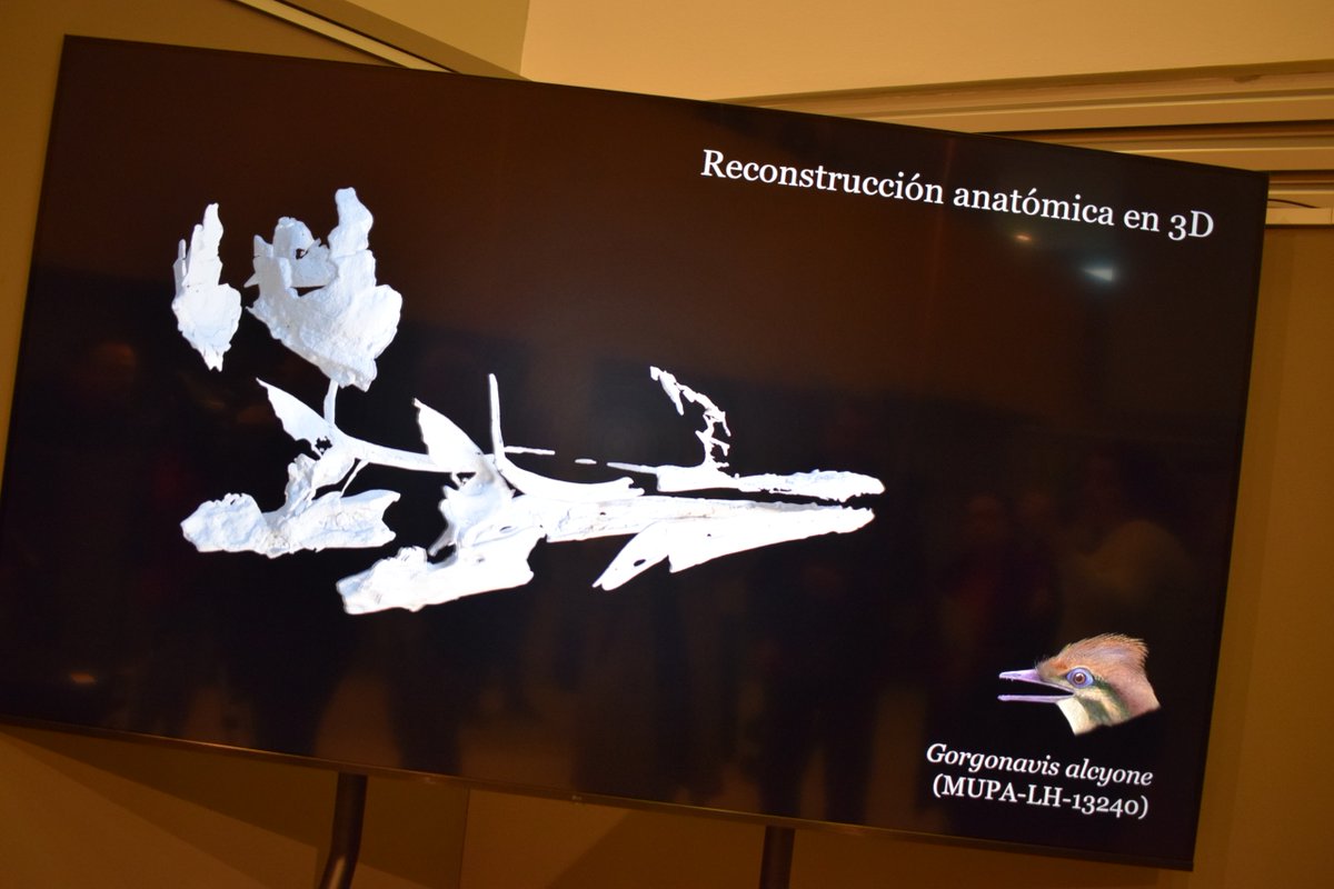 Cultura Castilla-La Mancha tweet media