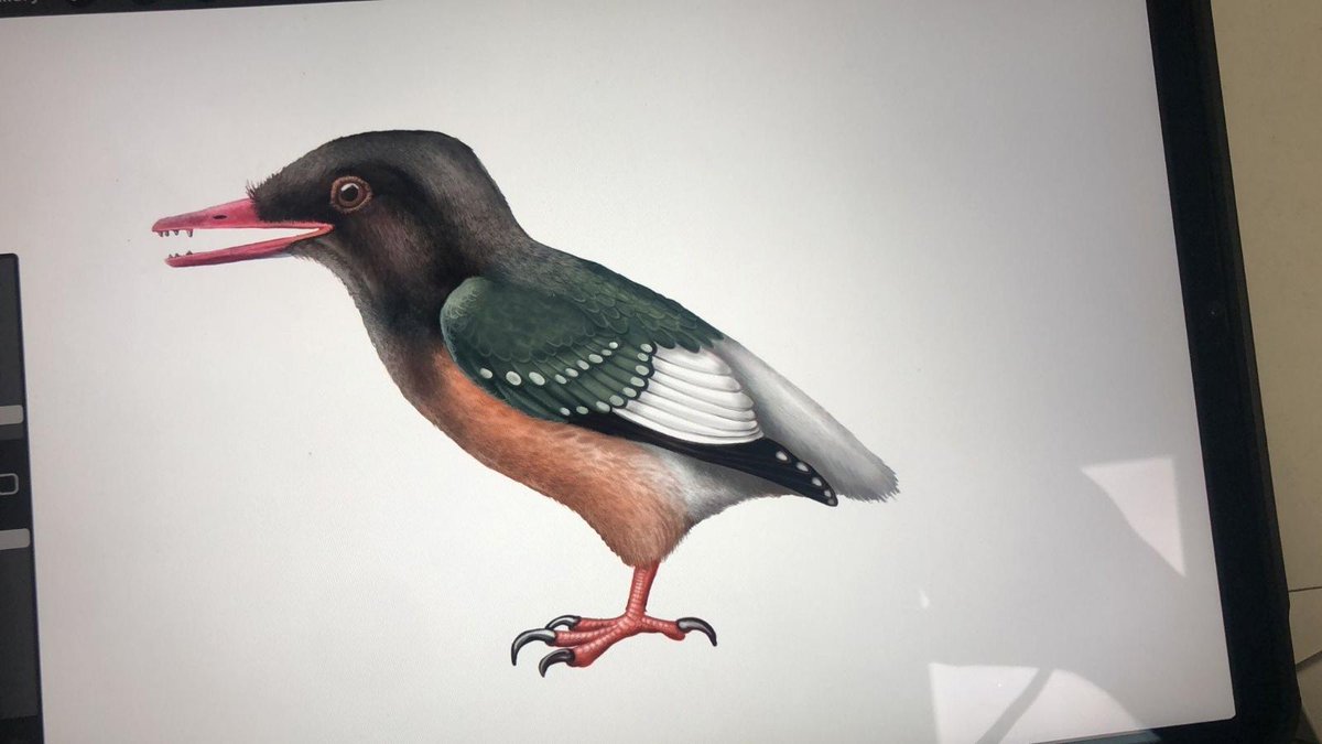 Cultura Castilla-La Mancha tweet media