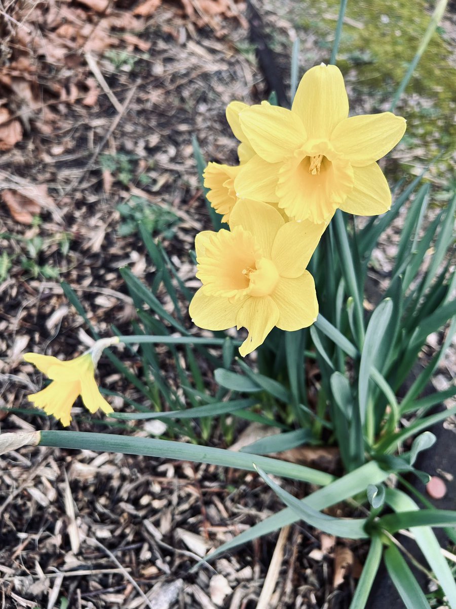 St. Vincent's School tweet media