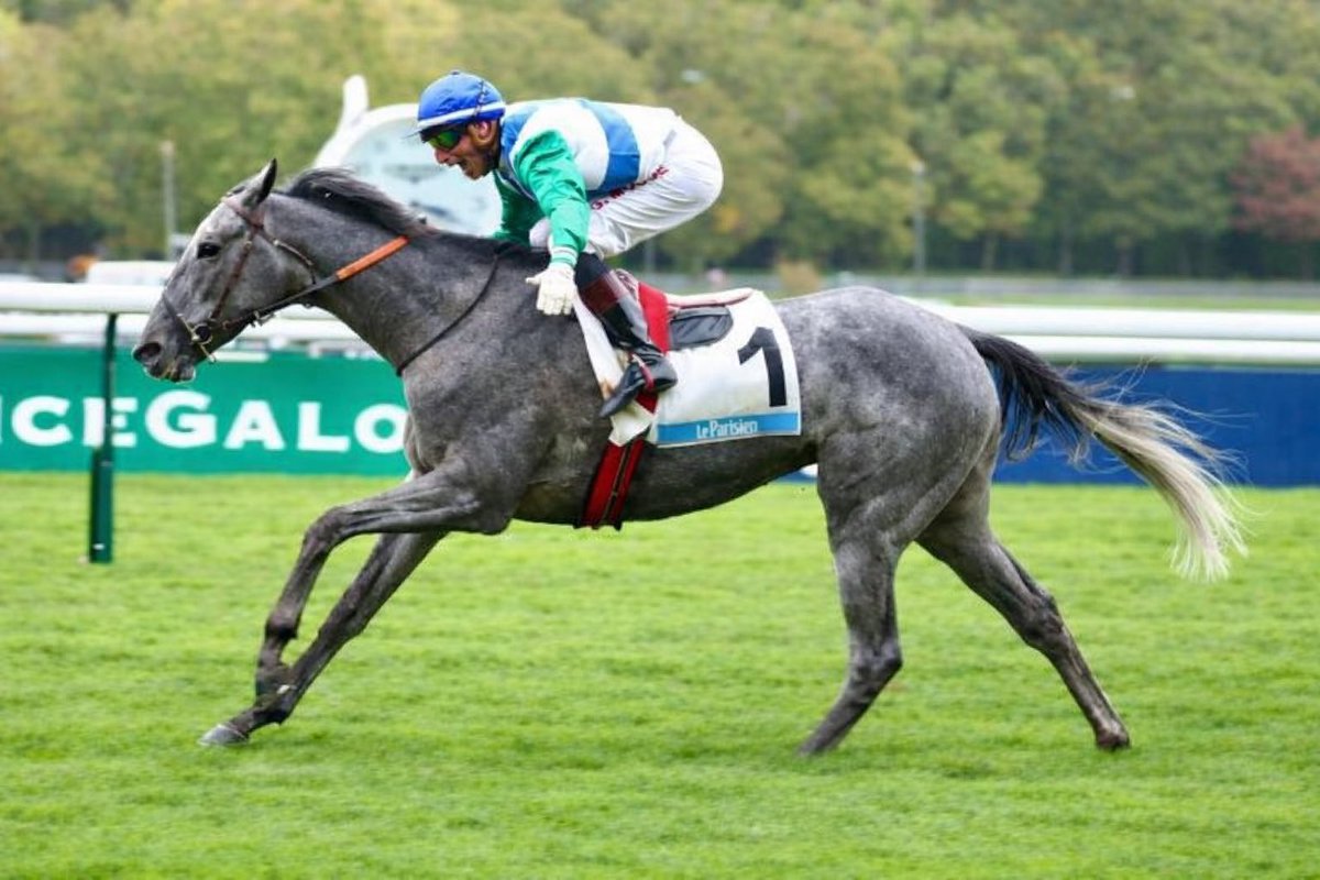 Les Trotteurs Ma Passion tweet media