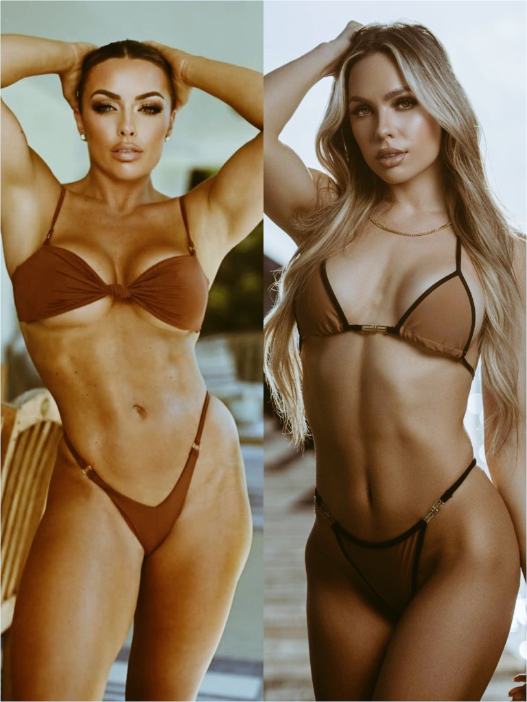 WWE News Updates tweet media