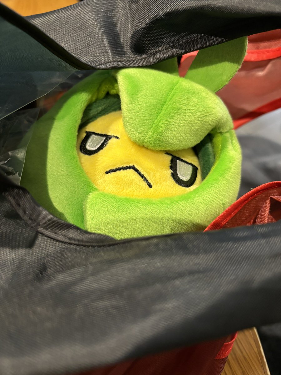 👈購入前😠 🫤購入後👉