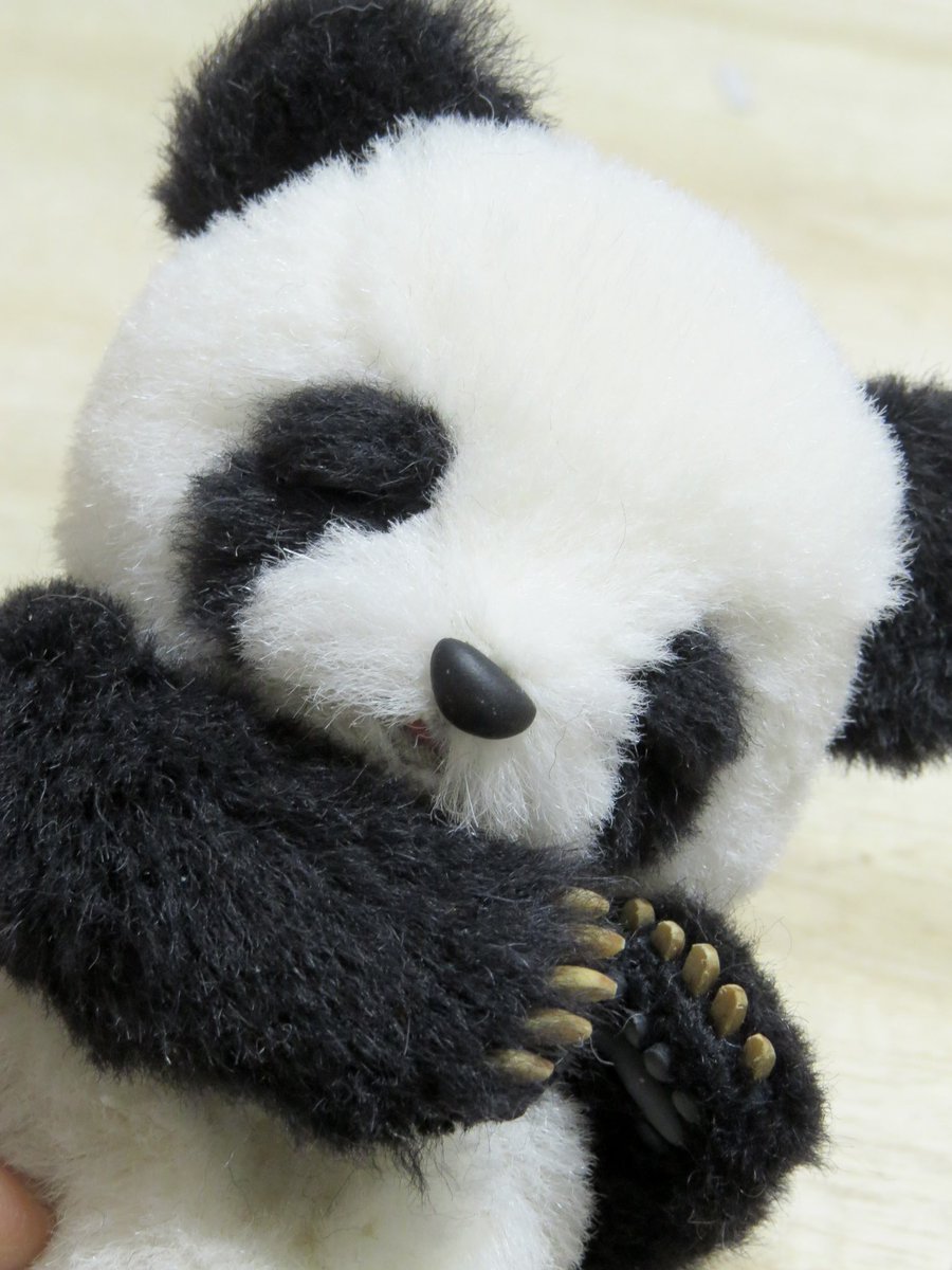 Post by ゆーや🧸テディベアアーティスト🧸 on X: 甘えん坊ちゃん。