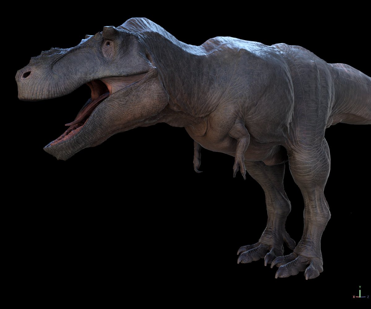 Dr Matt Dempsey tweet media