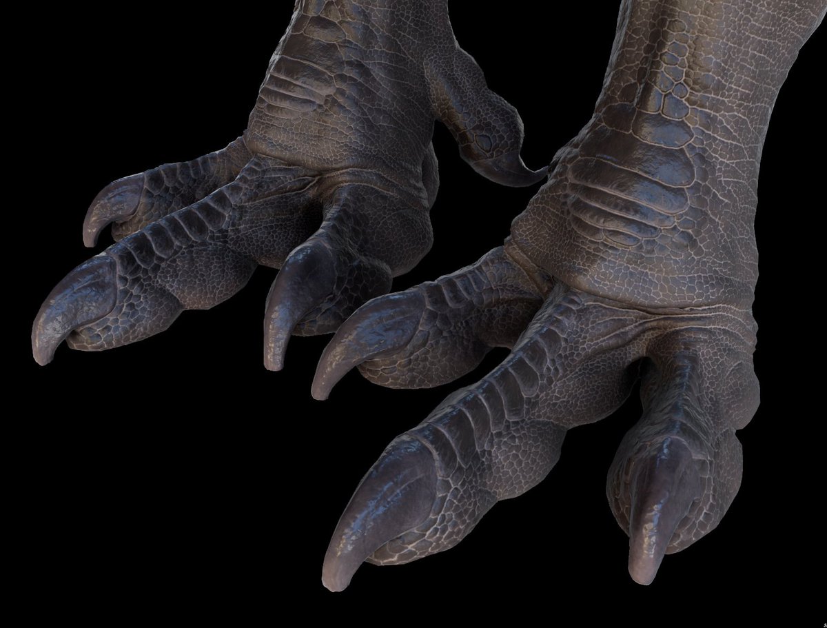 Dr Matt Dempsey tweet media