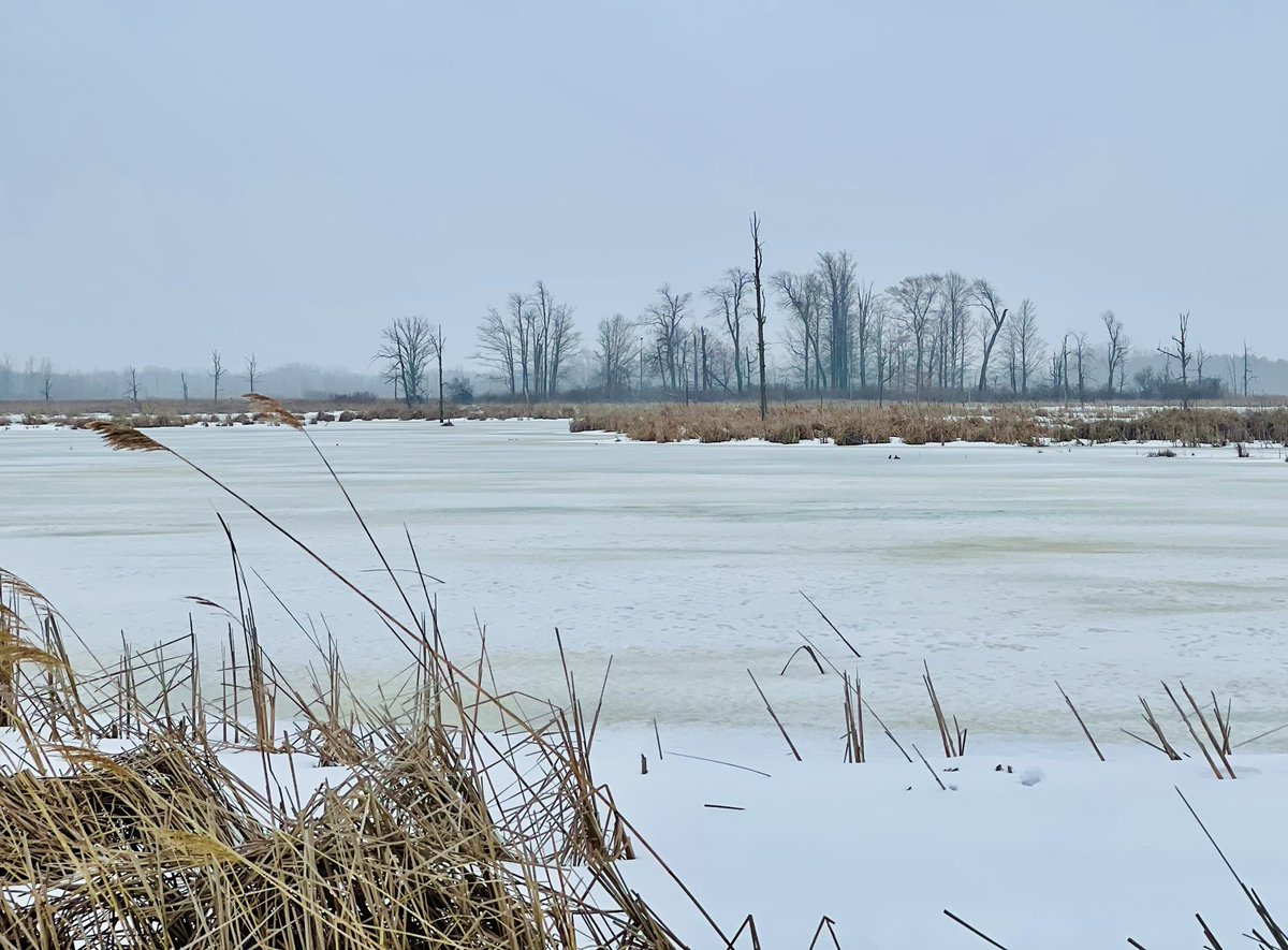 Flytiers fool fish
Demagogues dupe denizens 
Scammers sting suckers