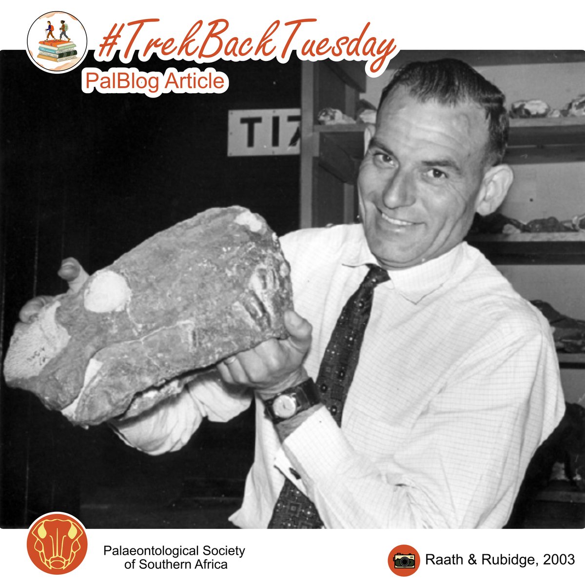 Palaeontological Society of Southern Africa tweet media