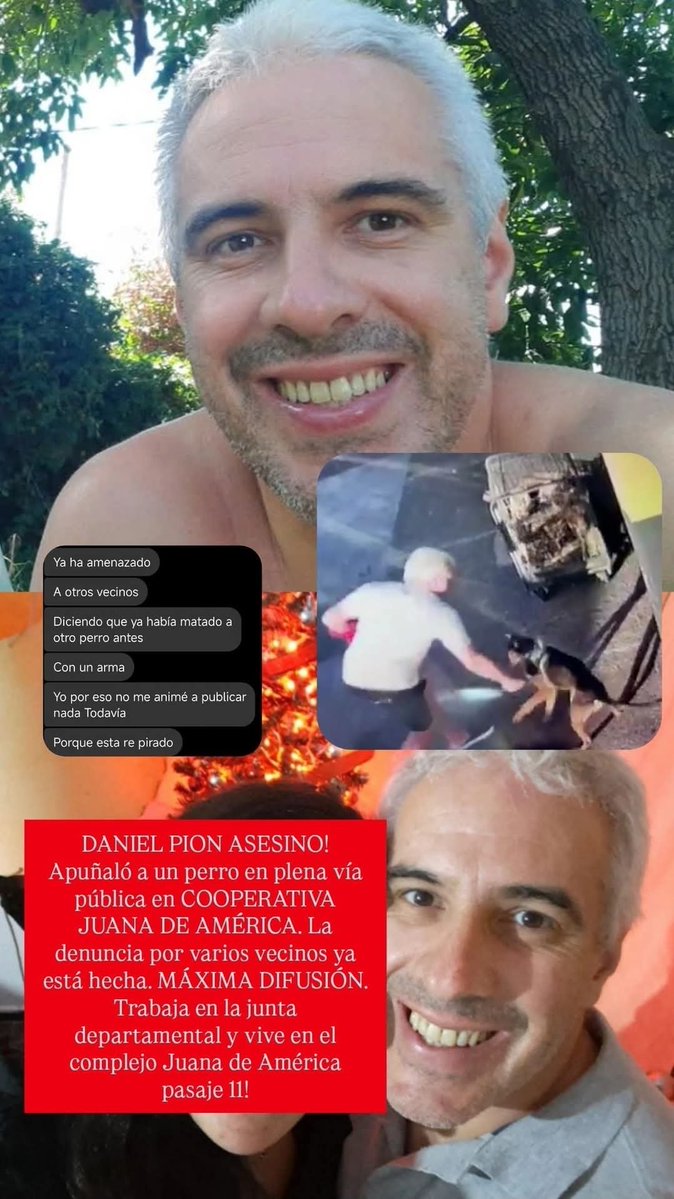 Preso lo quiero! Un momento de calentura?... la gurisa llega a discutir o pelearse con otro niño... y cuidado con los momentos de calentura Daniel Pion. Si no hay justicia legal que haya castigo social. <a href="/INBA_uy/">Instituto Nacional de Bienestar Animal</a> #LeyDeProtecciónAnimal
facebook.com/share/v/18ASLa…