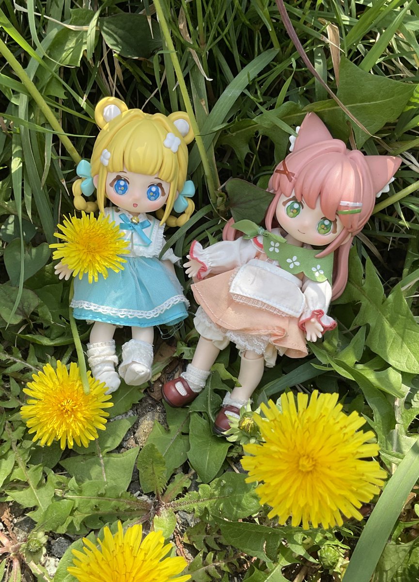 #一目惚れしたブラインドドールを挙げる見た人も是非

ニニジーちゃん！全員可愛い！！
＃ニニジー