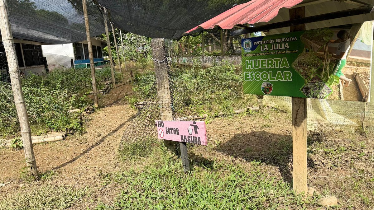 Cormacarena tweet media