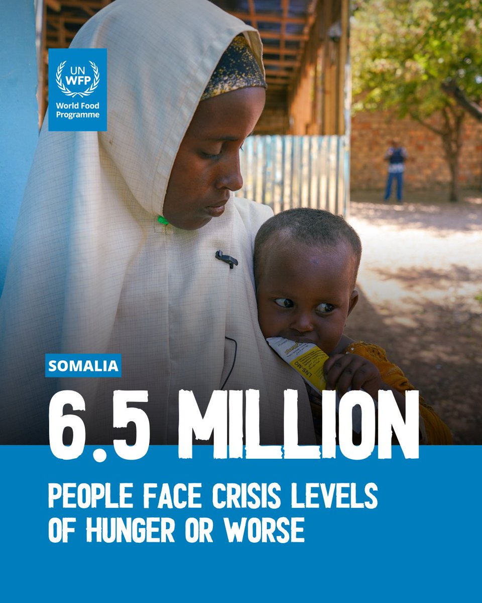 WFP Somalia tweet media