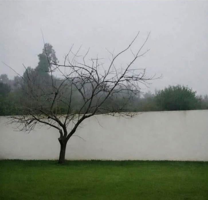 After sitting by a lake for an hour, I realized it was a partition wall.