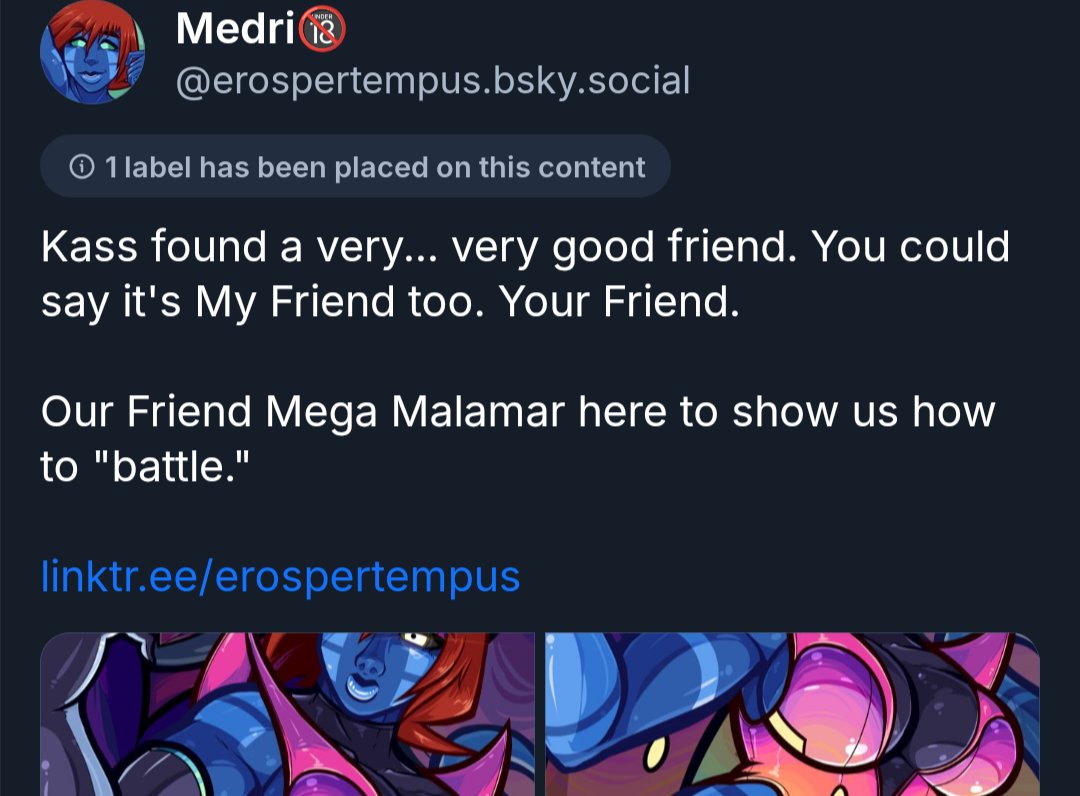 Medri🔞 erospertempus.bsky.social tweet media