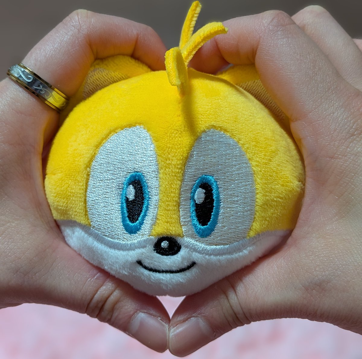 まんまるでカワイイね〜(๑´ω`๑)🫶
#ソニかつ