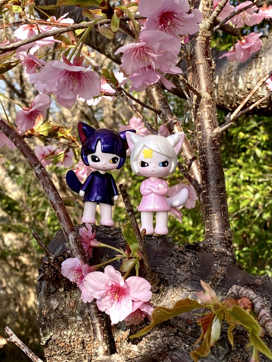 ponpon2131's tweet image. 伊豆へドライブ🚗🌸

 「HAPICO The Wonderful World (可愛いは正義シリーズ)」

Iggy &amp;amp; Lily

桜の木の下でおてんばなLilyをなだめるIggyちゃん。推しです💖

#popmart
#上野陽介
#hapico
#河津桜