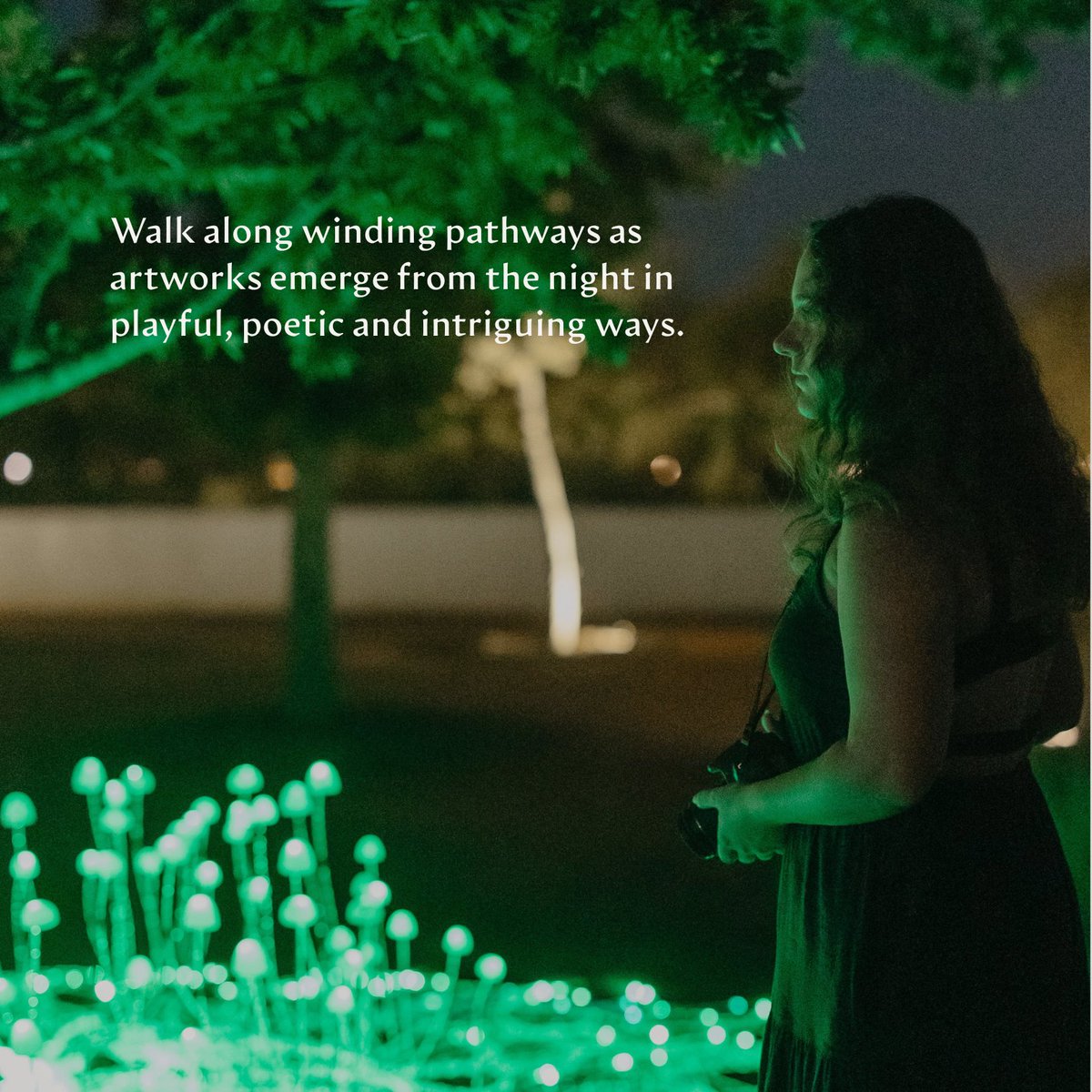 Spier Wine Farm tweet media