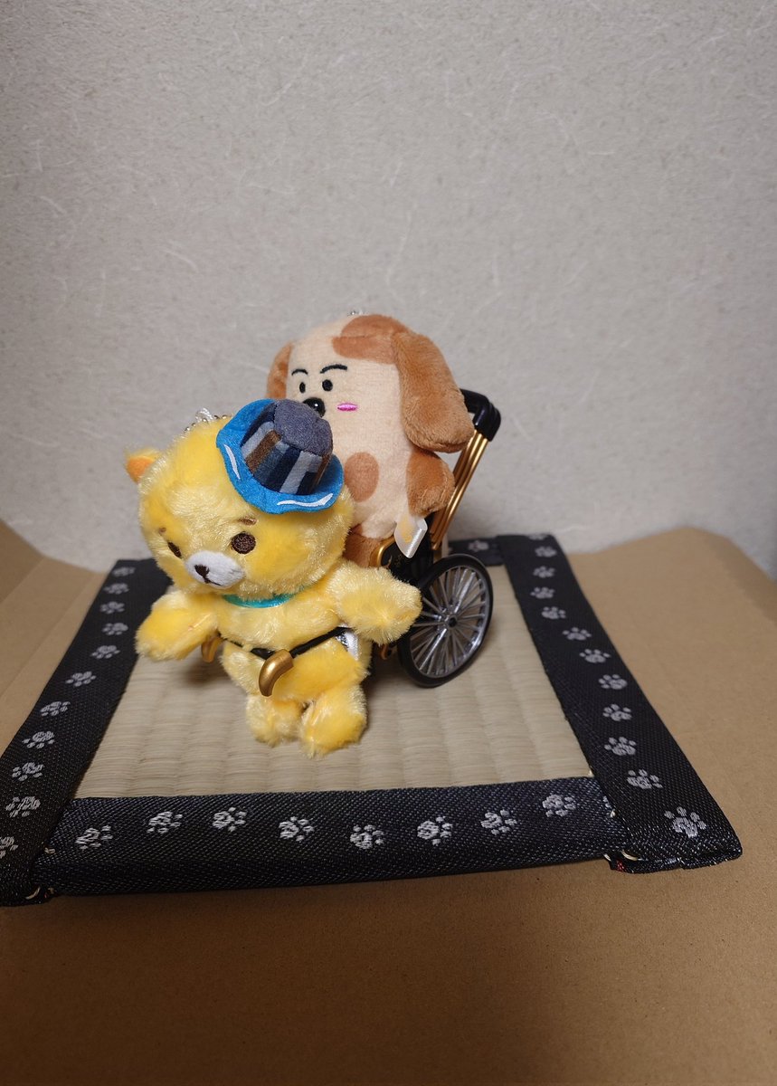 ほや丸 引いてて #ちくワン が乗ってるパターンも撮ってみたけど、体型