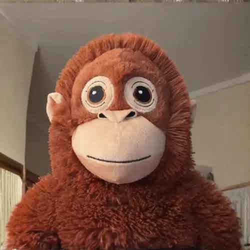 0xZoomber's tweet photo. We are 30k below the other vamp!

I think this NY session we will surpass them.

FEW.

Send the only one $ORANGUTAN
BqJ8THReLvRNS6bpFkghQpf6qqwnLoZkxMXARqhWpump https://t.co/0h0erVK6ia