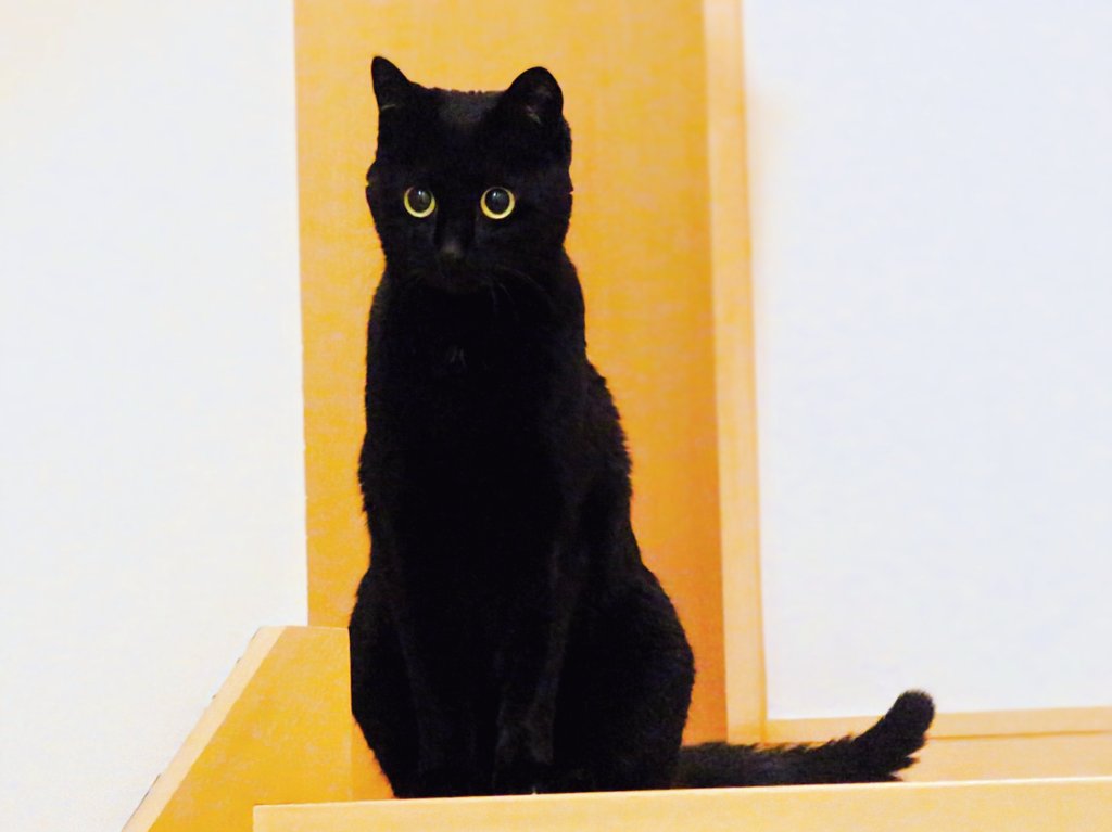 みっくん tweet media