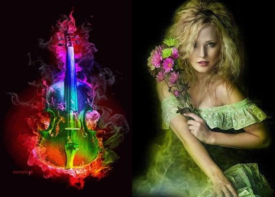 Kofi Dan tweet media