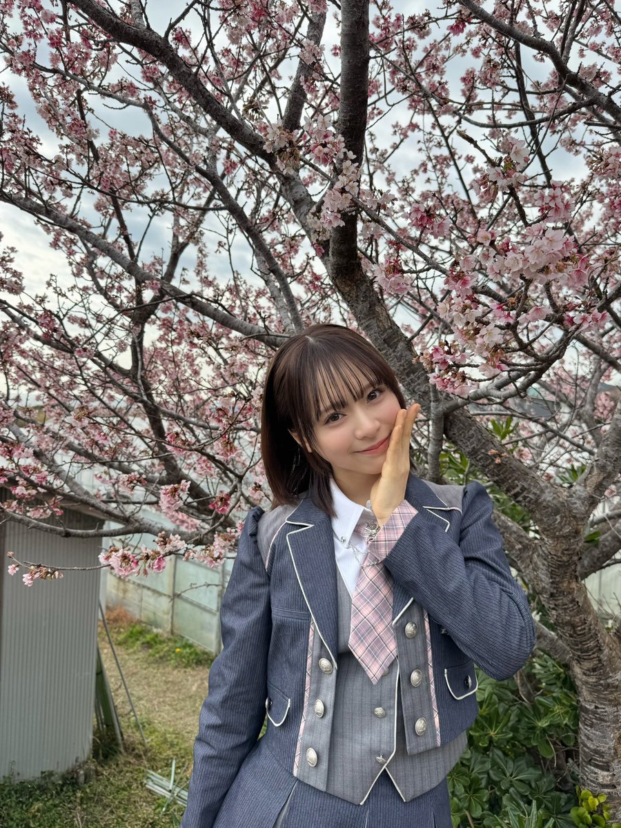 AKB48_名残り桜 本日はフラゲ日🌸 皆さんのお手元に届きましたか