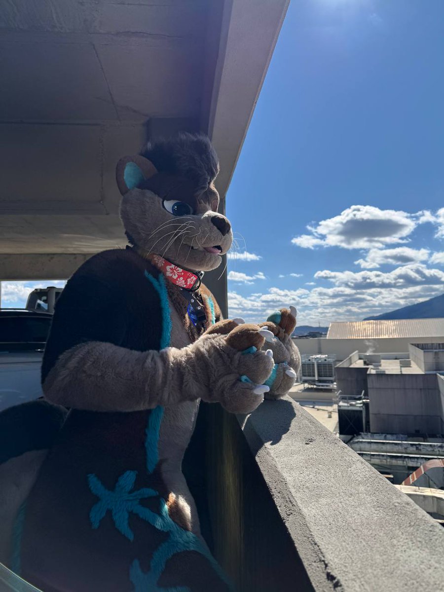 James 🦘 🦦 tweet media