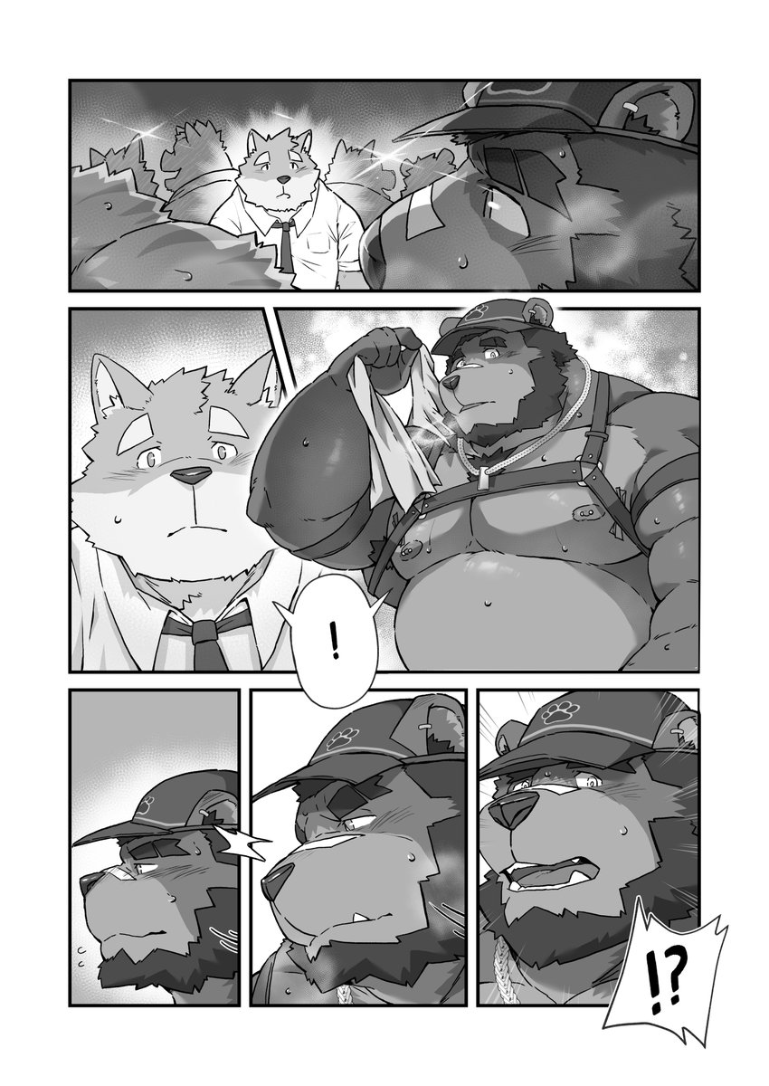 笨熊的薛丁格天窗ʕ◉ᴥ◉ʔ tweet media