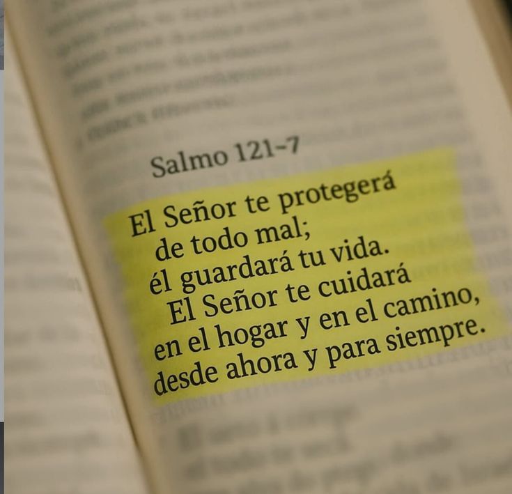 Jesús Nunca Falla tweet media
