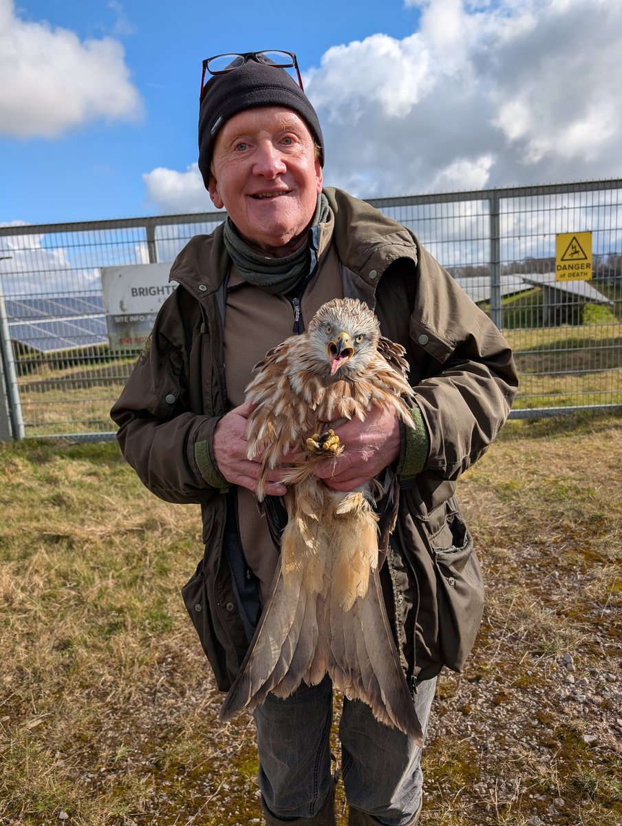 matt prior tweet media