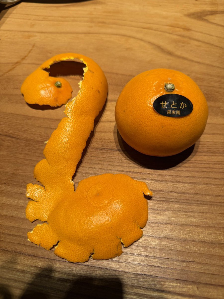 ポンっとデコポン【公式】 (@Azzyana) / Posts / X