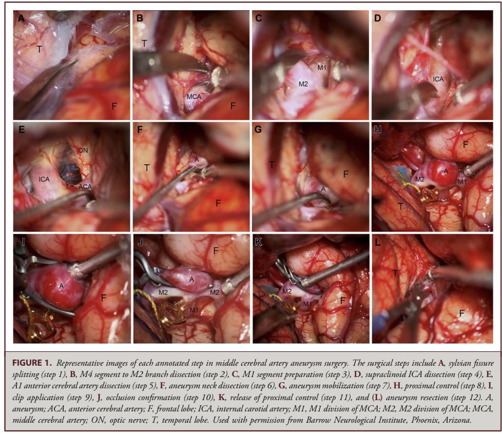 Jonathan A. Tangsrivimol, MD tweet media