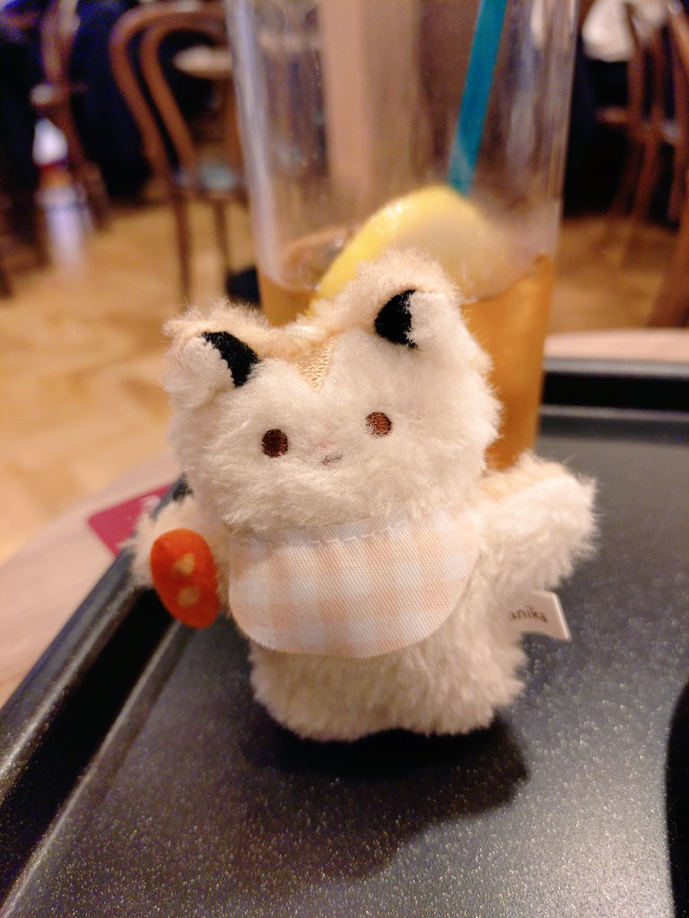 何と撮ってもかわいいね