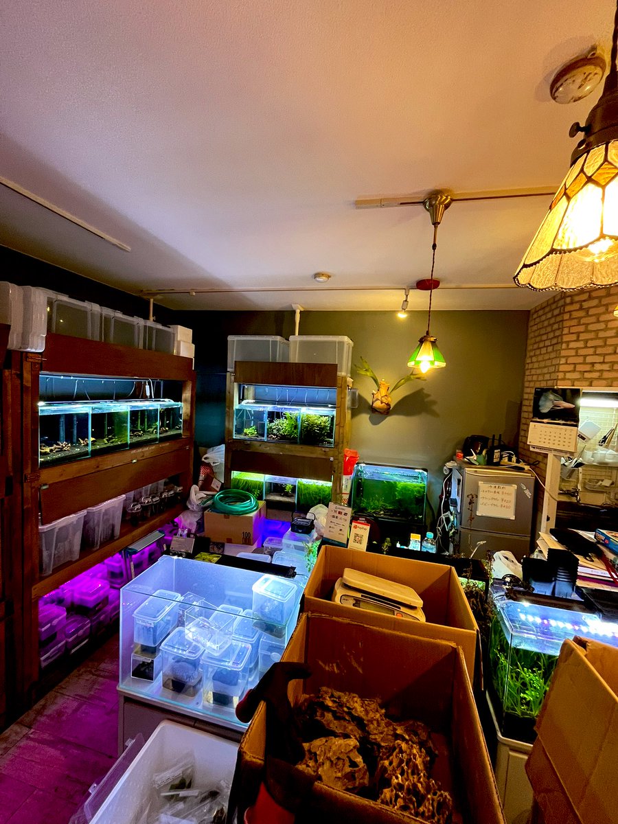 AquariumTime tweet media