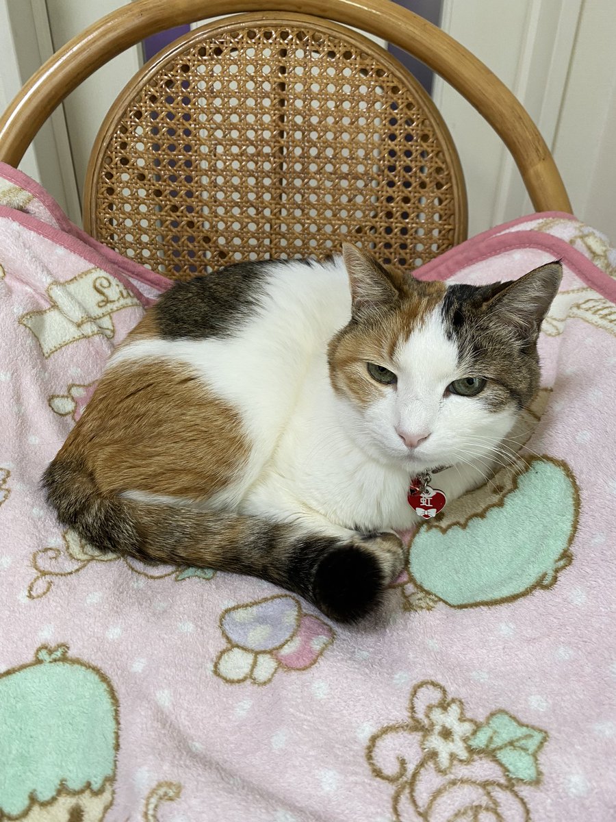 無事に退院して、やっぱり家は最高だぁと思った1日でした☺️
春休み目指して、ゆっくり焦らず全快させよ💪✨