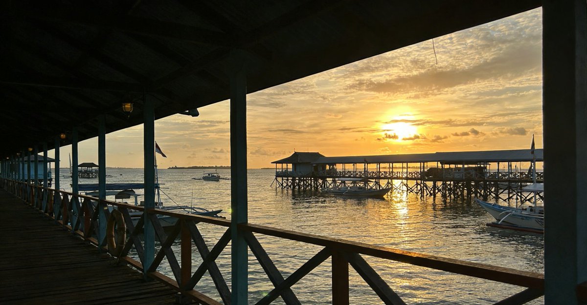 scapevoyager's tweet photo. Komodo Island 7-Day Itinerary
Let me cut to the chase: I’ve been leading tours around Komodo Island for 8 years now. I’ve had tourists from Tokyo to Toronto, Singapore to Sydney, show up expecting Bali 2.0—they leave shocked, in the best way possible. 
https://t.co/xgXx3bnQLD https://t.co/nnYyM39V9X