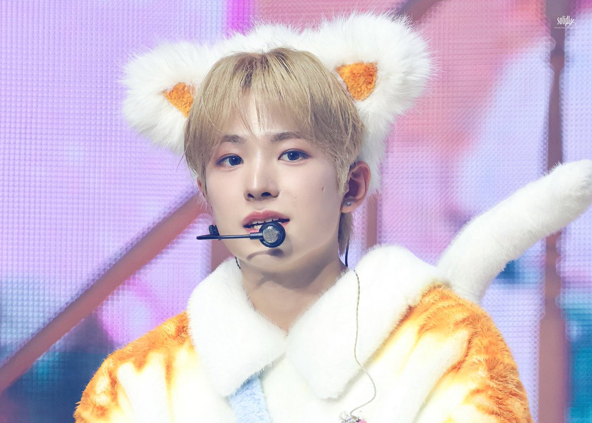 𝘴𝘰𝘭𝘪𝘥𝘭𝘺 tweet media