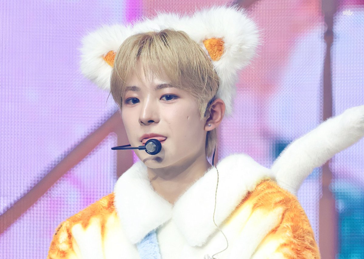 𝘴𝘰𝘭𝘪𝘥𝘭𝘺 tweet media