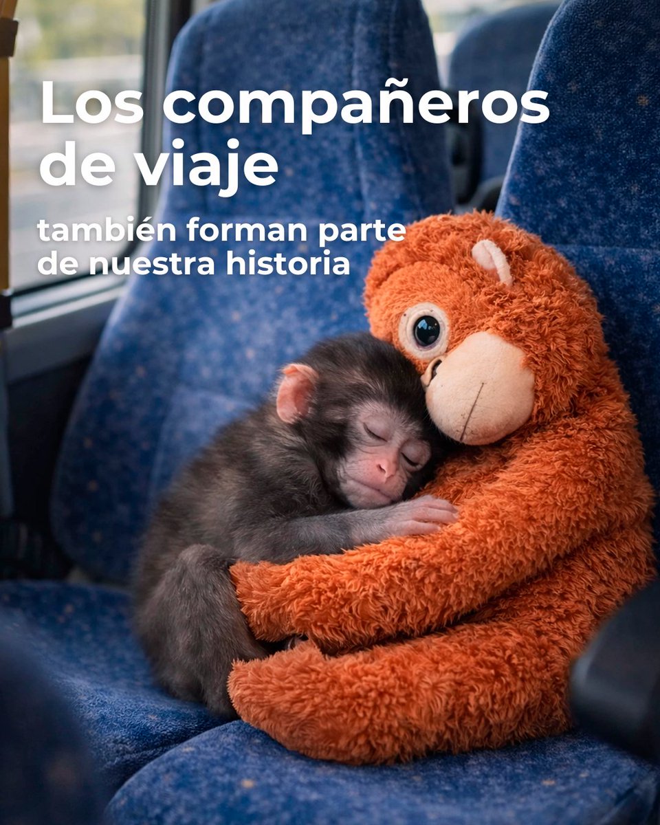 Consorcio de Transporte Metropolitano Granada tweet media