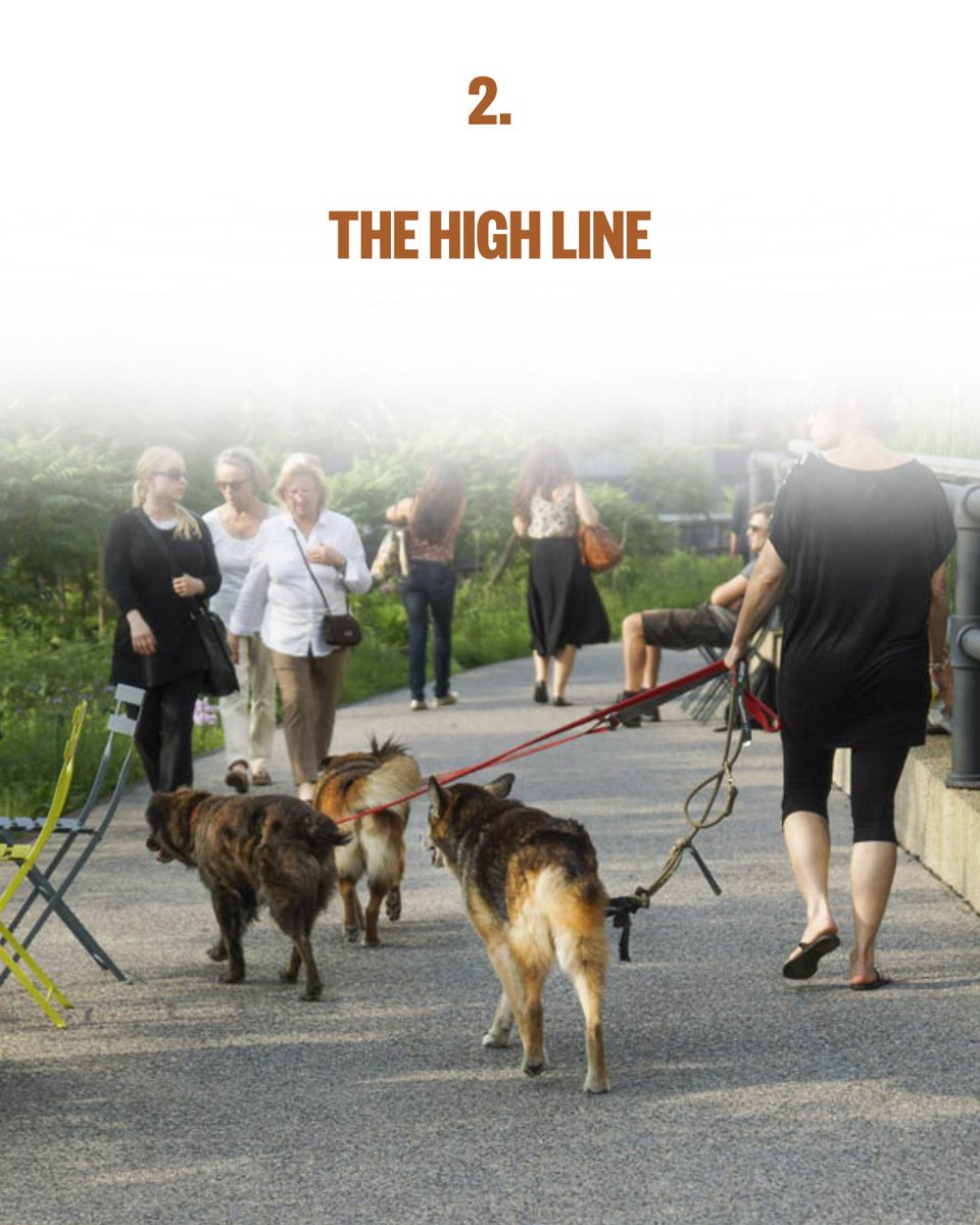 thepetgazette98's tweet image. NYC isn't just dog-friendly — it's dog-OBSESSED. 🐾 Here are 5 spots where your pup will absolutely thrive. Save this for the weekend! 🗽
Which one is your go-to? Or drop a hidden gem below — we might feature it next! 👇
Save + Comment your favorite NYC dog spot
#NYCDogs