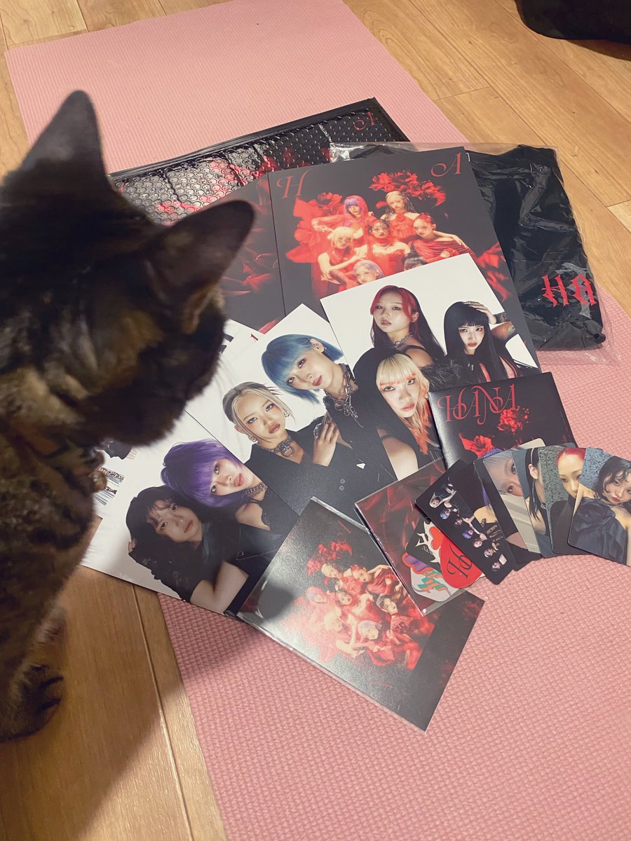 ˣななみˣ (@MsDD_14xx) / Posts / X