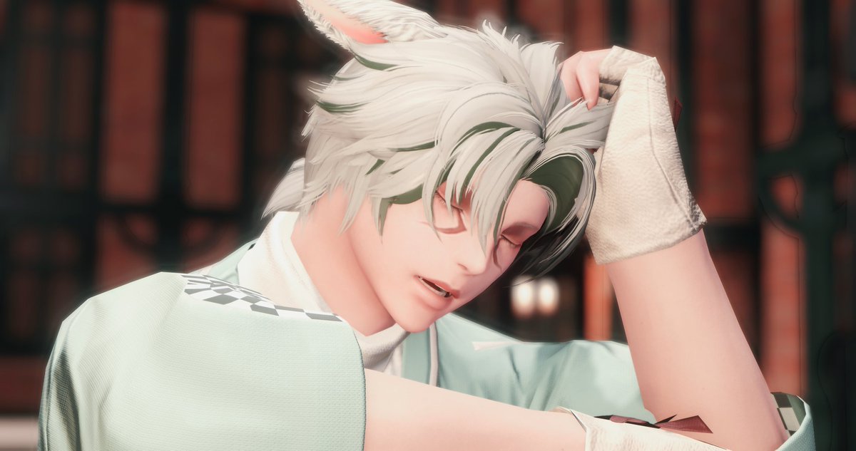 Lycoris Radiata tweet media