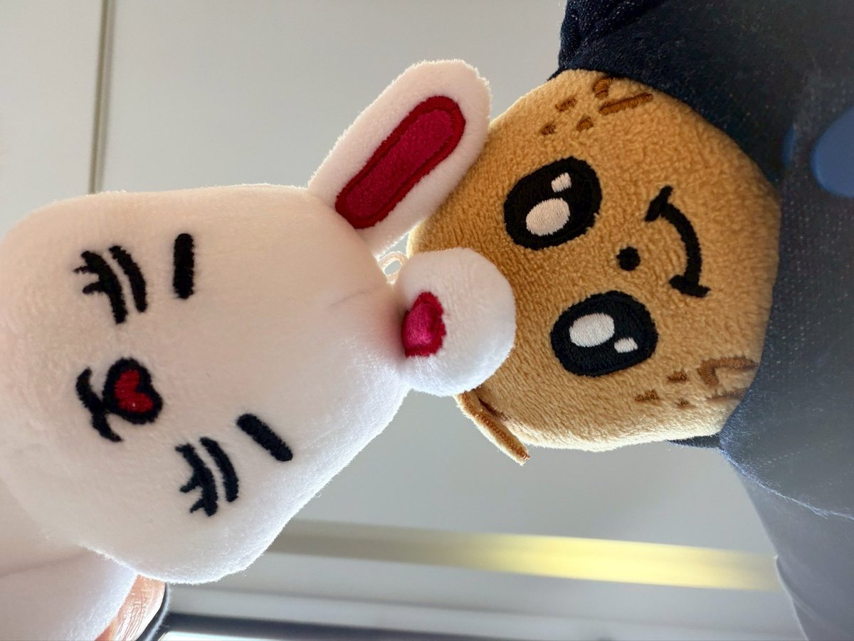 0915Btsj's tweet photo. 今回も安定に楽しかった🩷
いつも唐突に集まるあたりがうちららしい笑
95s最高🥺
4枚目に🍕を参加させるの目標🤣 https://t.co/5x5fx0pk7L