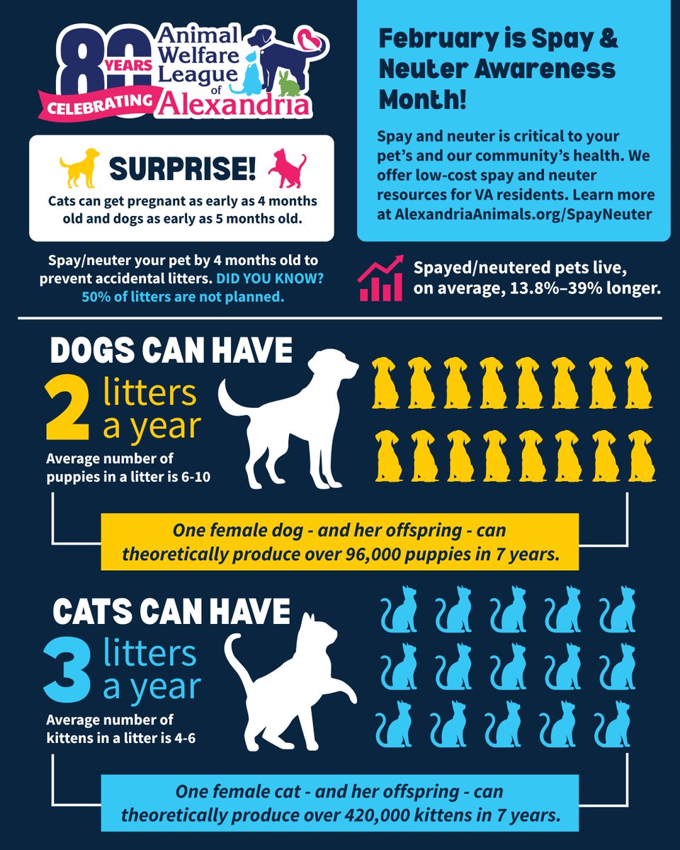 AWLA Alexandria tweet media