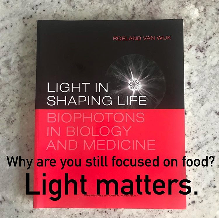 ☣️ Pleb Kruse = BTC foundationalist in exile 🟩🔆 tweet media