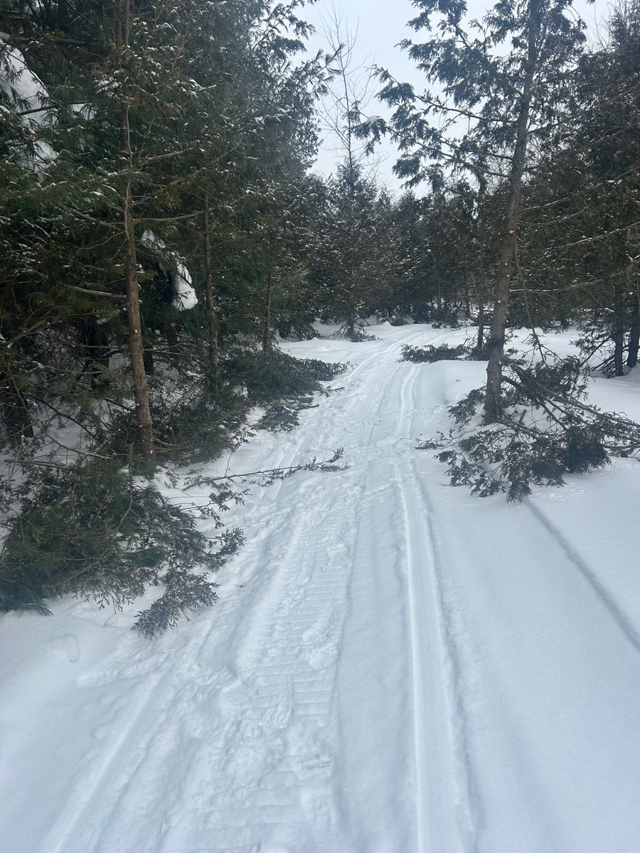 Larry Miller Retired tweet media