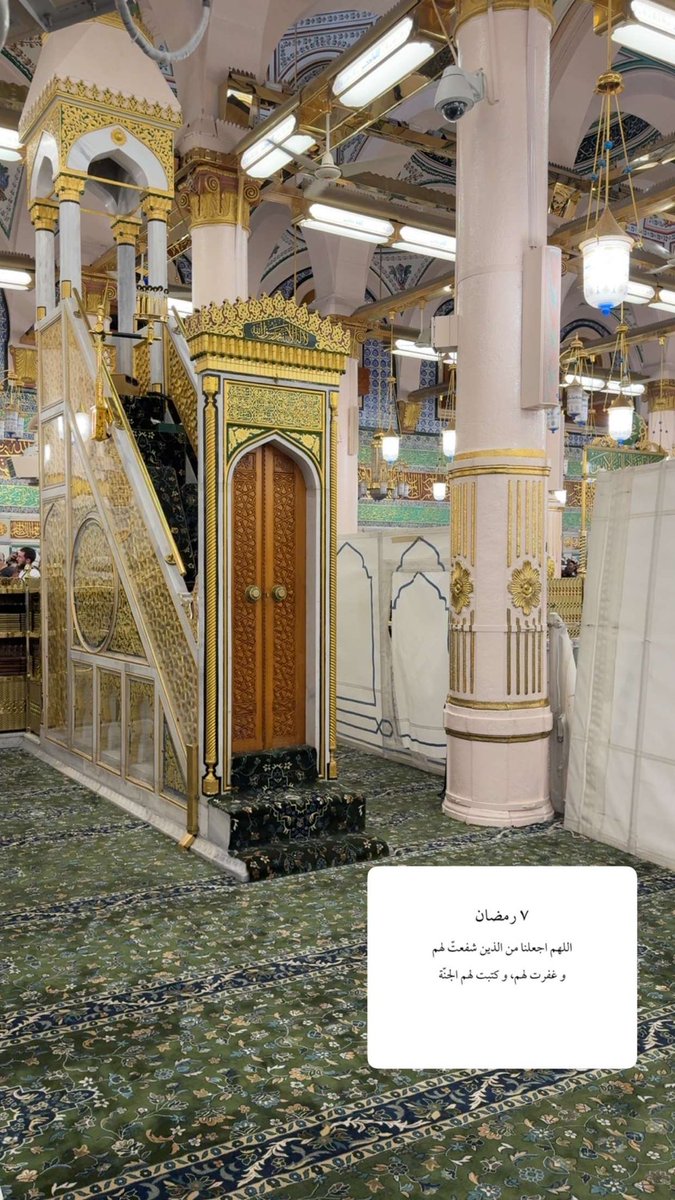 T5Tll's tweet photo. الحمد لله اللي شرّفني بخدمة ضيوفه في البقعة الشريفة، روضة من رياض الجنة
#رمضان 
#المدينة https://t.co/t30ODiNcO7
