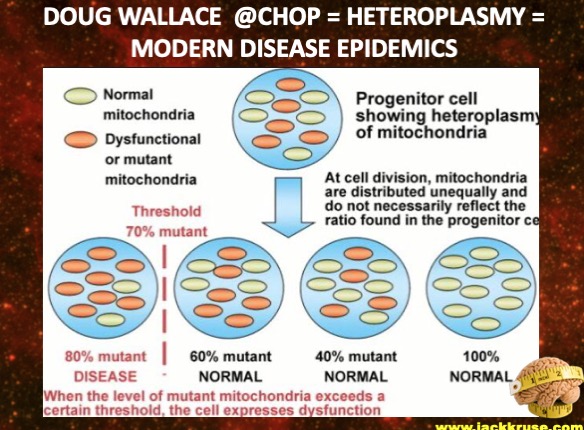 ☣️ Pleb Kruse = BTC foundationalist in exile 🟩🔆 tweet media