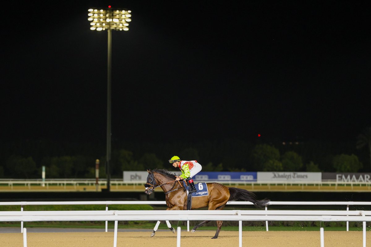 m.a.orfe2012.2013 tweet media