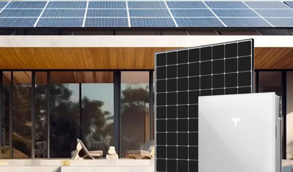 ModelExpoItaly tweet media